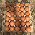 30 Organic Pastured Raised Eggs