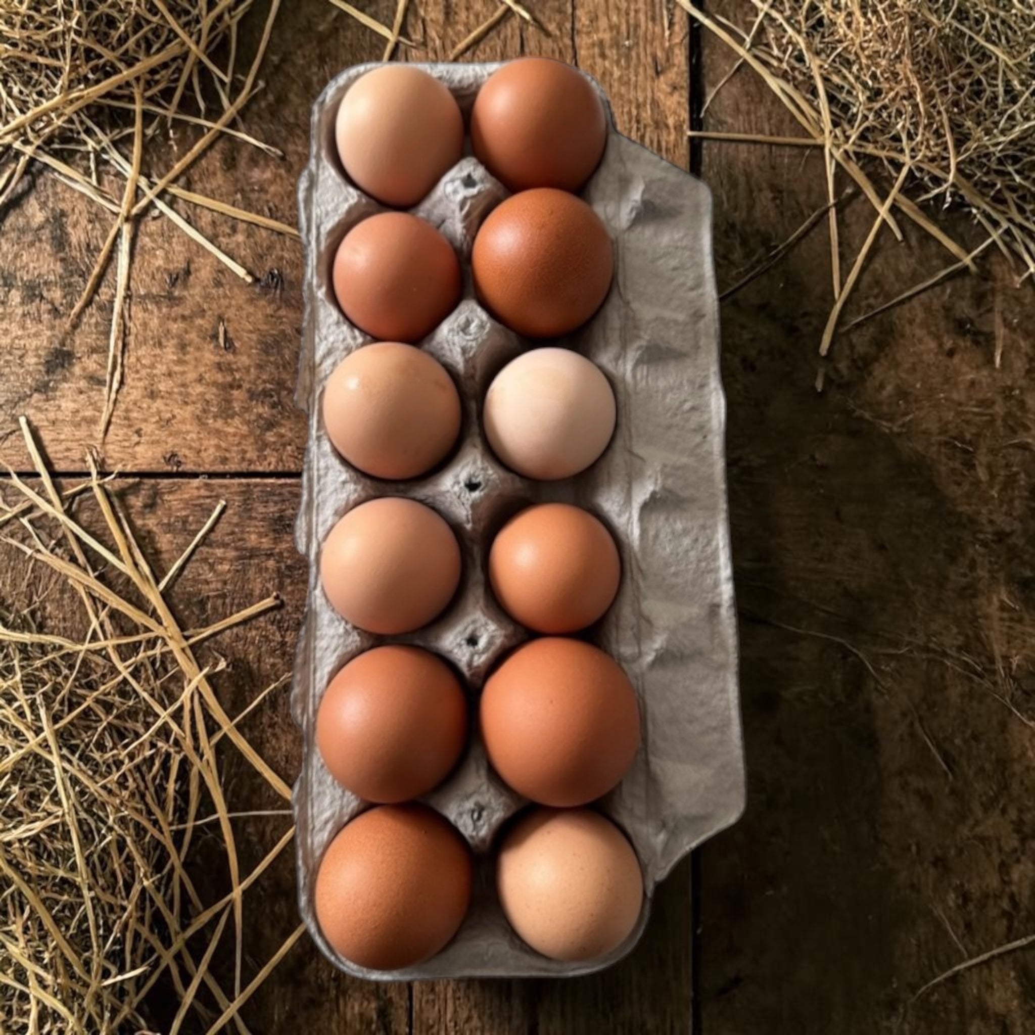 12 Organic Pastured Raised Eggs