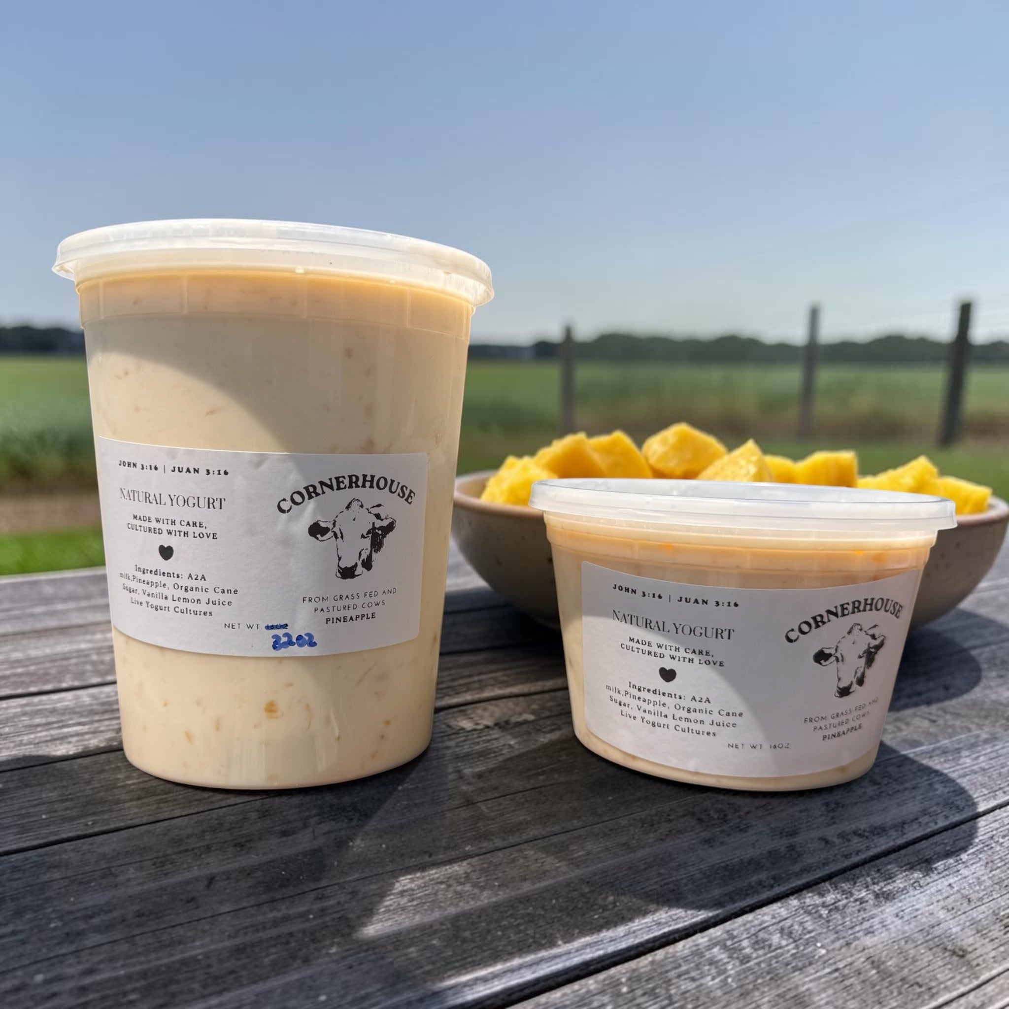 Natural Yogurt