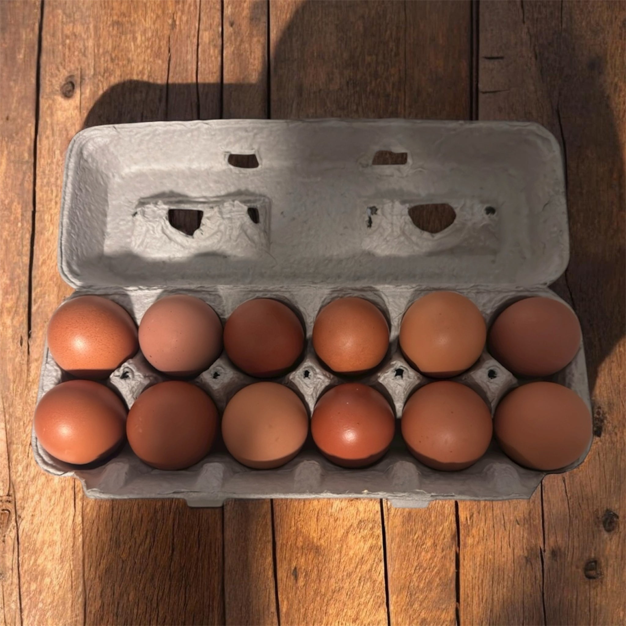 12 Organic Pastured Raised Eggs CORN AND SOY FREE