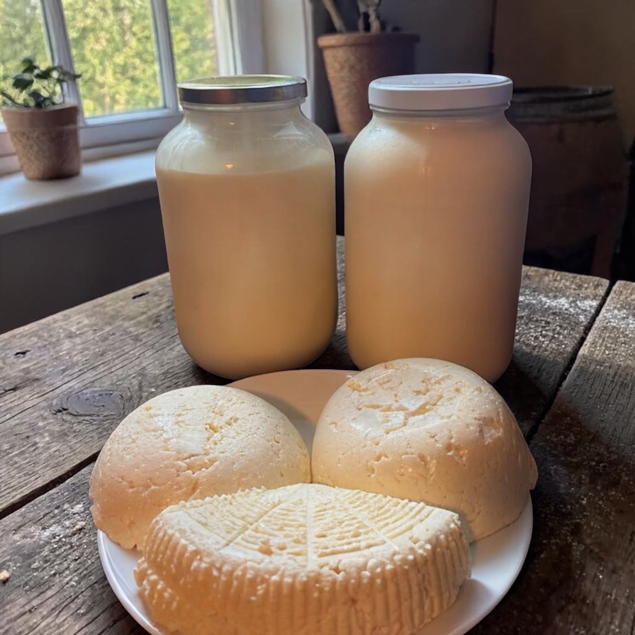 Fresh Cheese